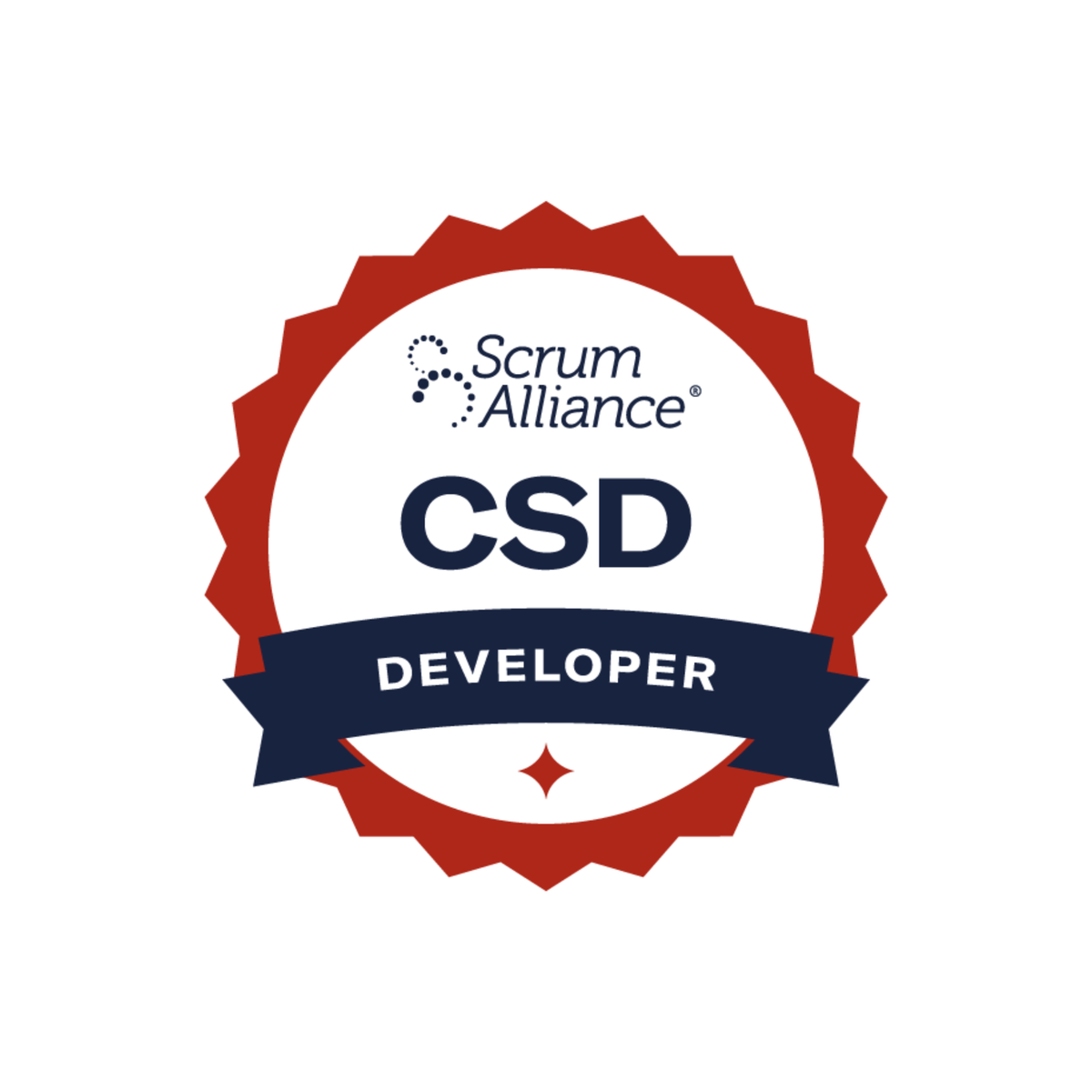CSD – Agile Business Institute